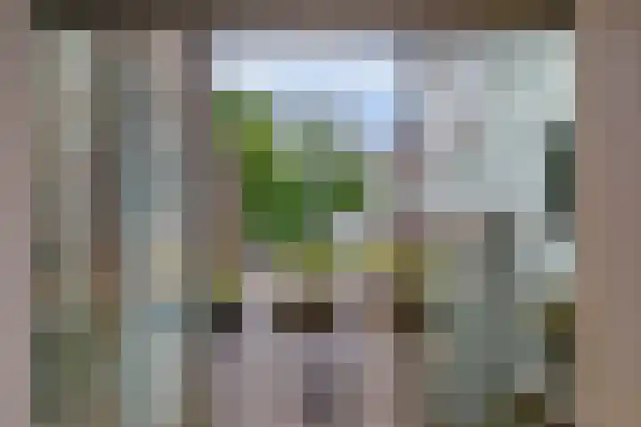 Buurkerkhof 1 C Utrecht thumbnail 27