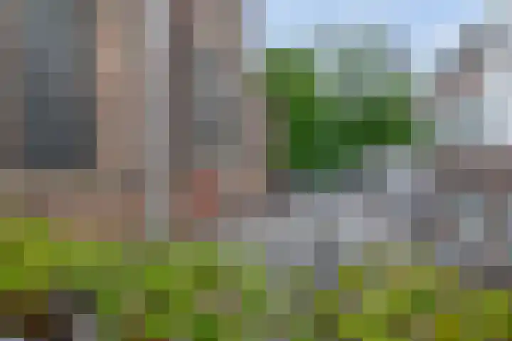 Buurkerkhof 1 C Utrecht thumbnail 28