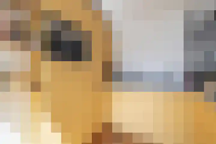 Buurkerkhof 1 C Utrecht thumbnail 35