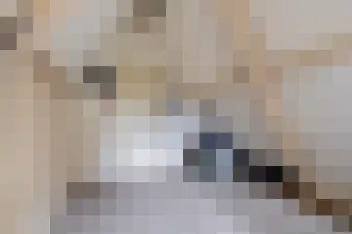 Buurkerkhof 1 C Utrecht thumbnail 48
