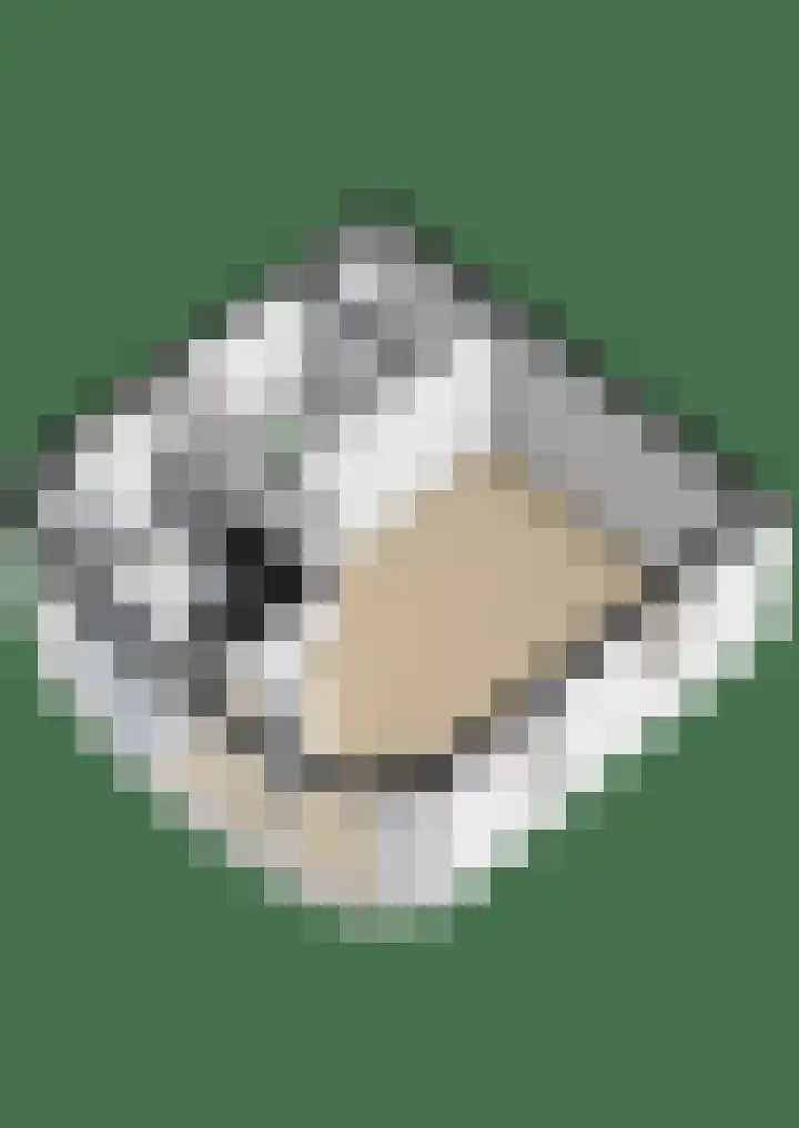 Buurkerkhof 1 C Utrecht thumbnail 68