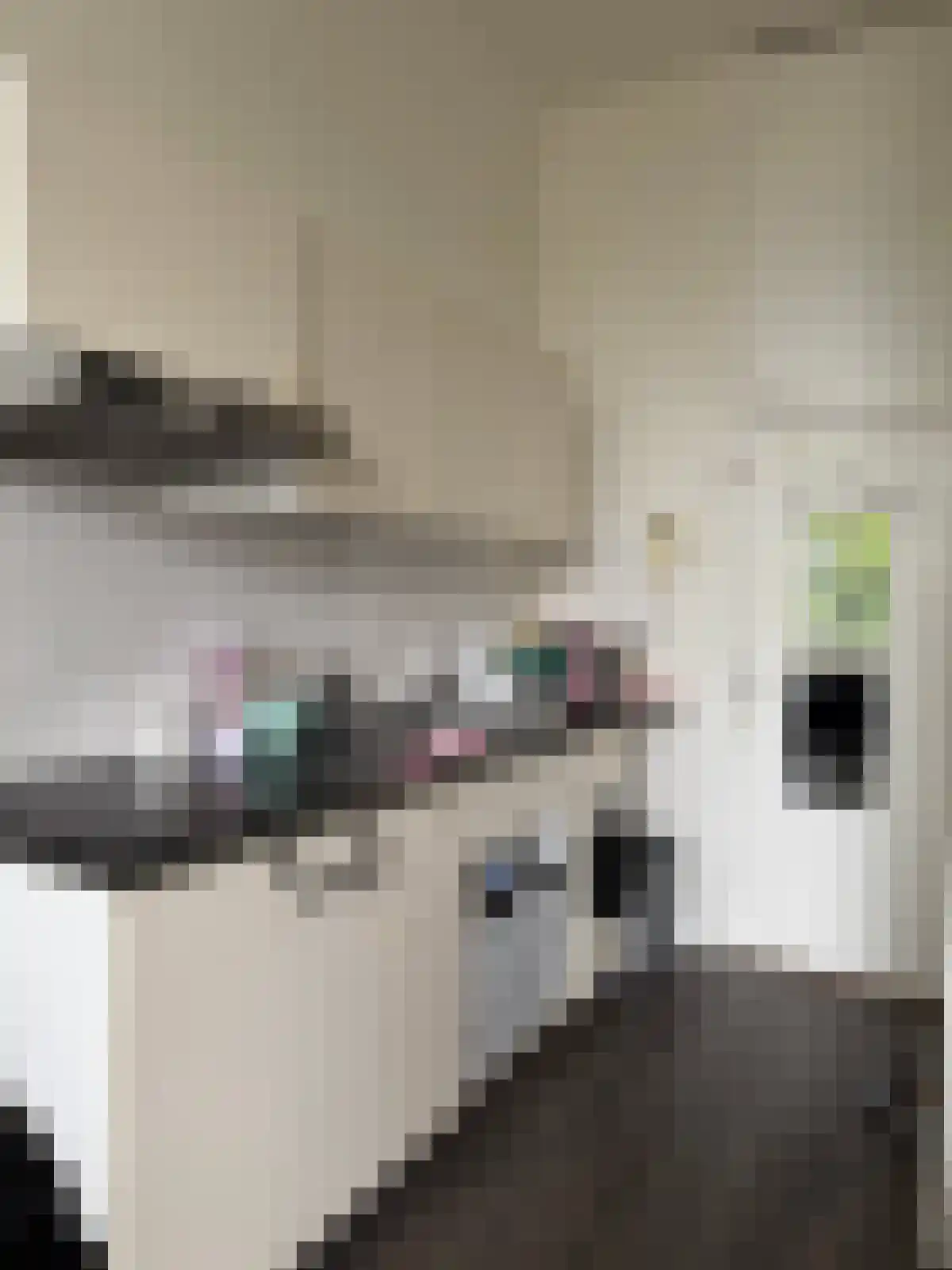 Buurkerkhof 8 E Utrecht thumbnail 5