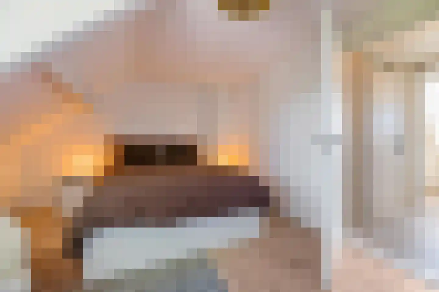 Buurlandt 5 Marum thumbnail 21