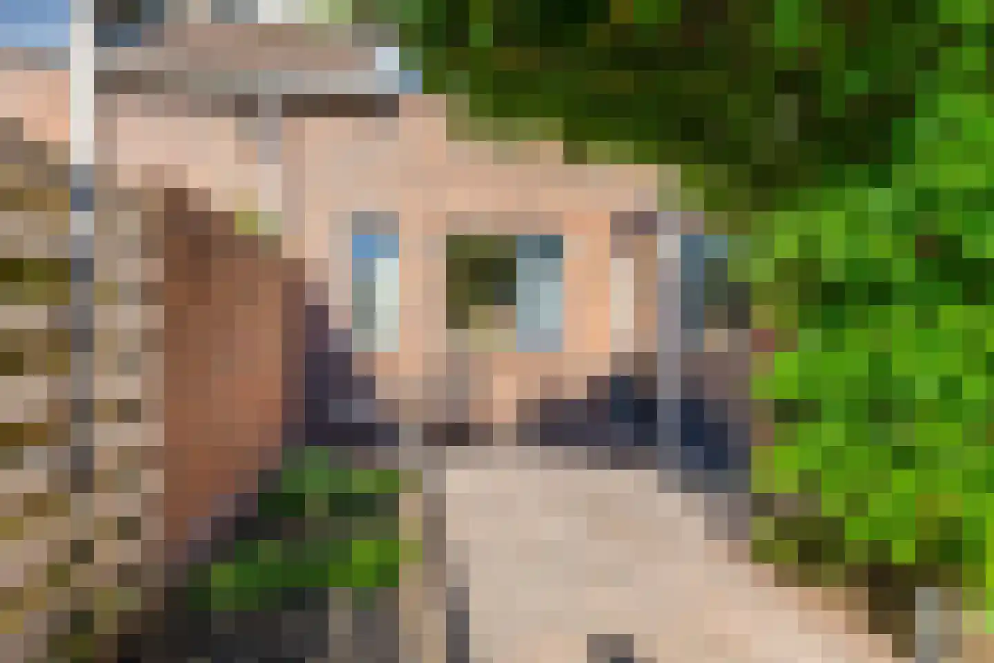 Buurlandt 5 Marum thumbnail 39