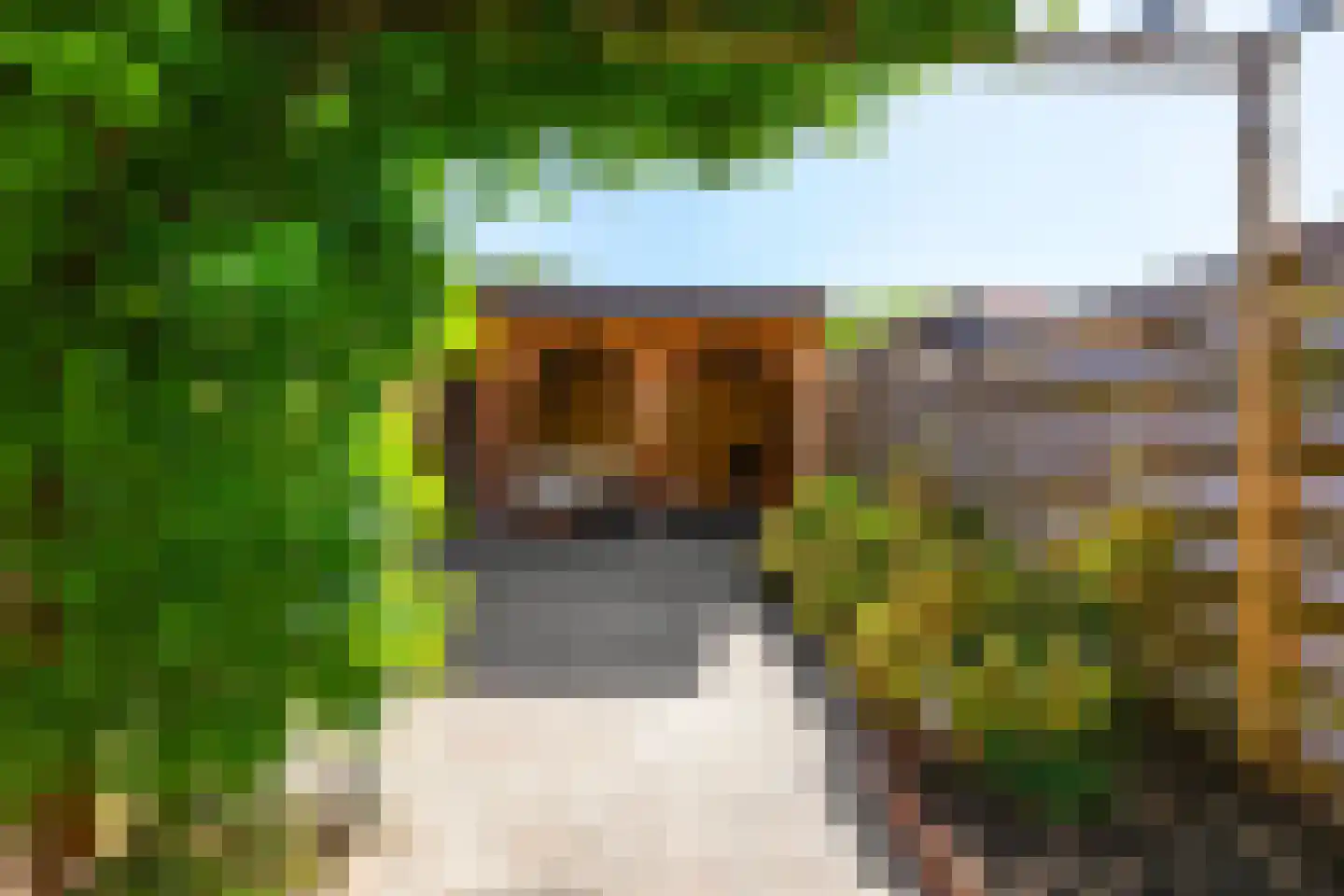 Buurlandt 5 Marum thumbnail 40