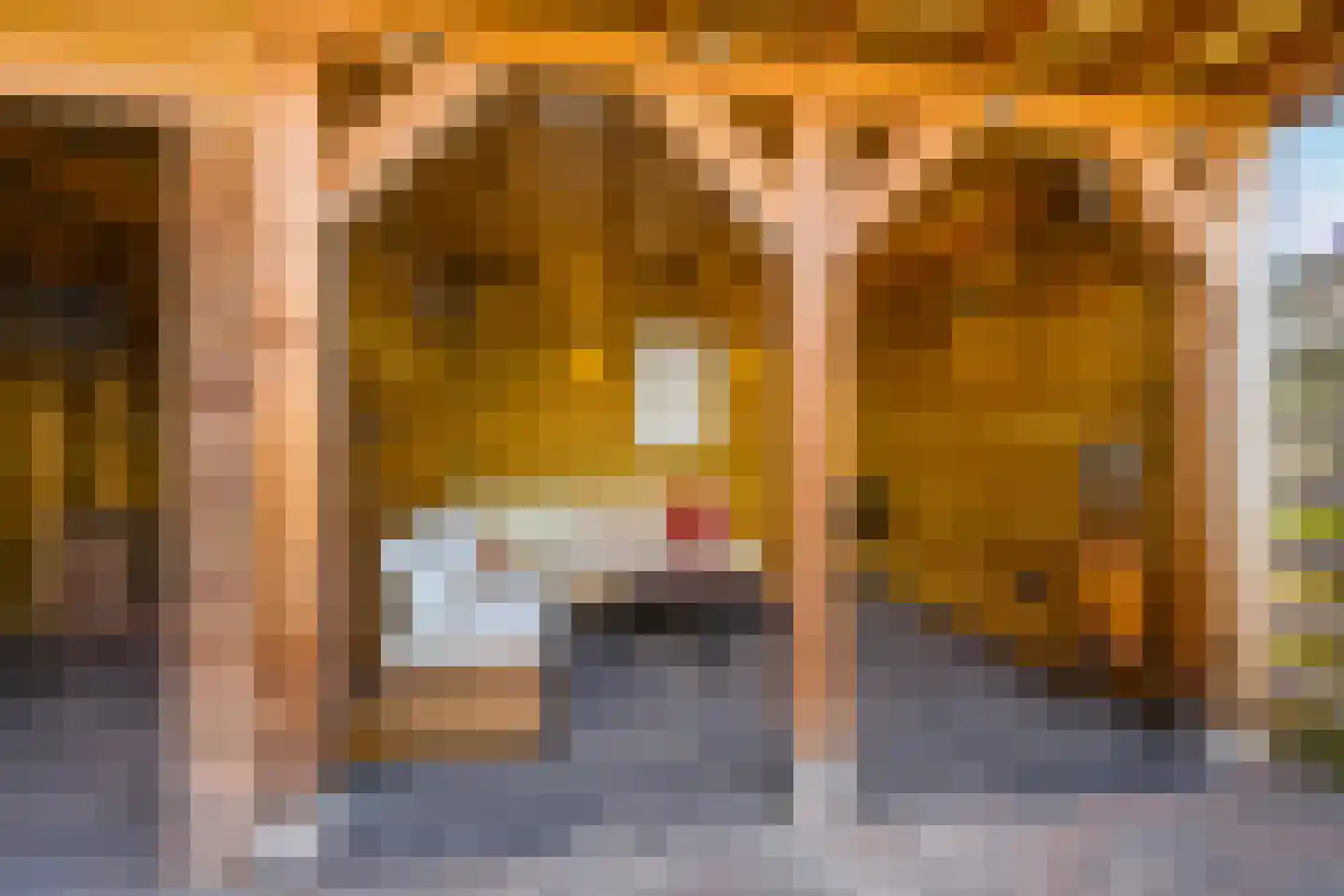 Buurlandt 5 Marum thumbnail 42