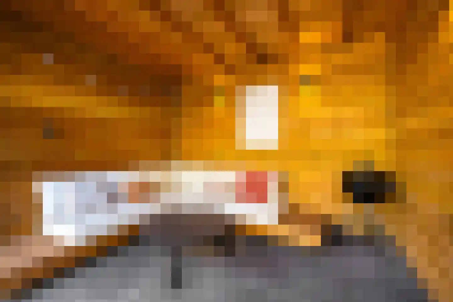 Buurlandt 5 Marum thumbnail 43
