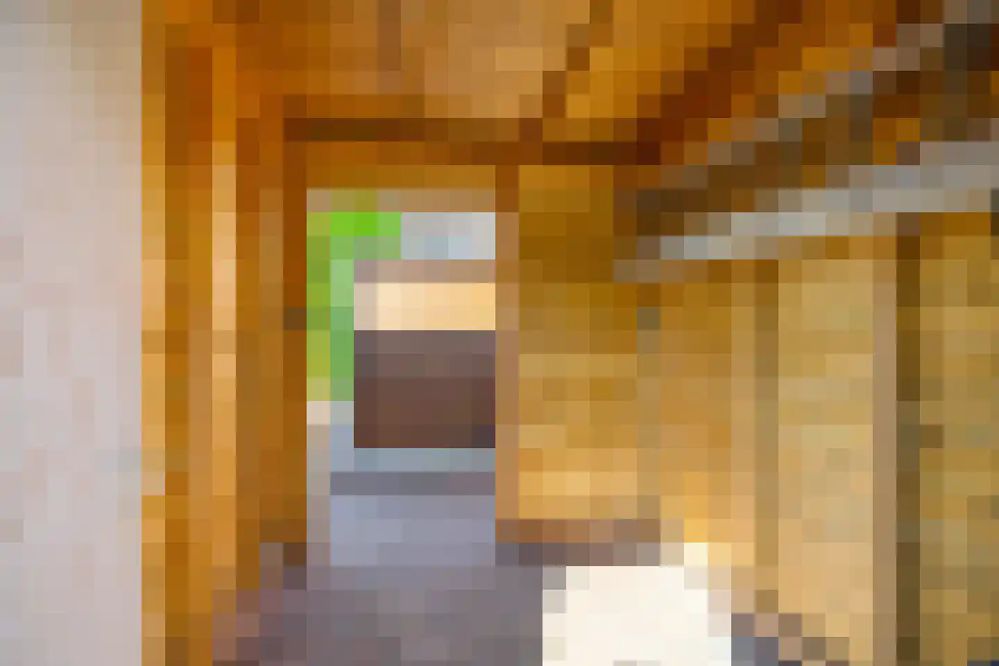 Buurlandt 5 Marum thumbnail 45