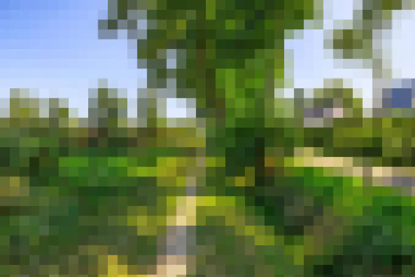 Buurlandt 5 Marum thumbnail 47