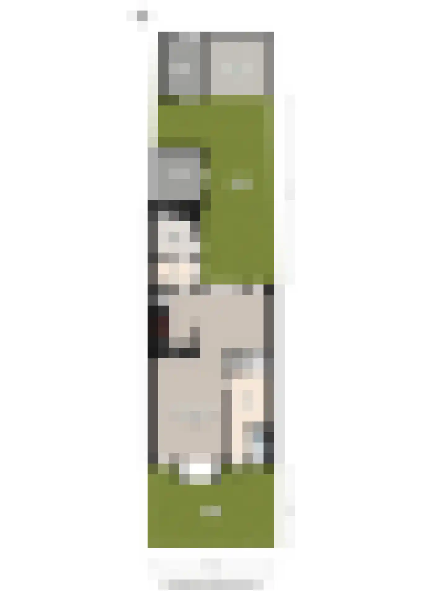 Buurlandt 5 Marum thumbnail 56