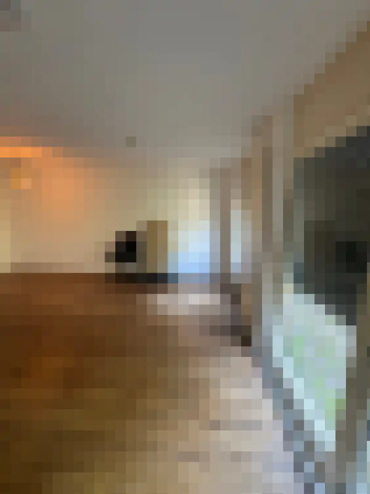 Buurmalsenlaan 12 Tilburg thumbnail 4