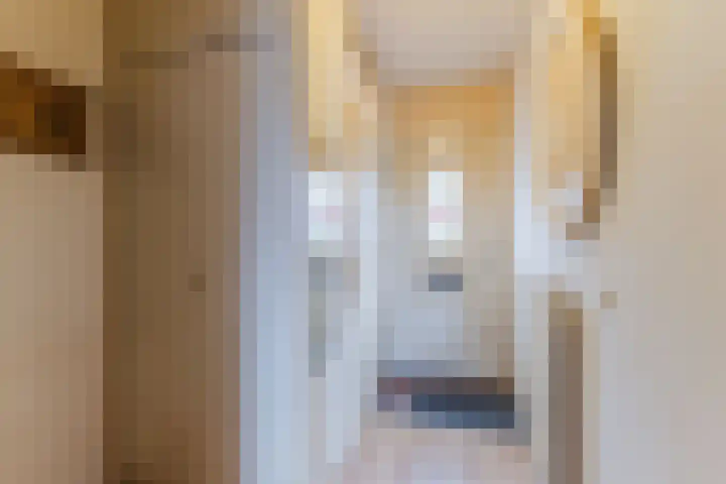 Buurmalsenlaan 23 Tilburg thumbnail 10