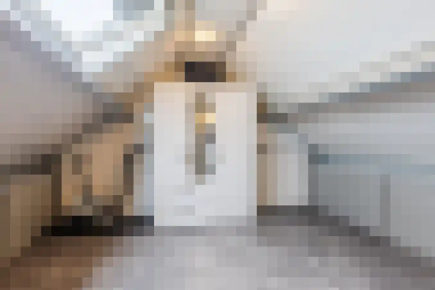 Buurmalsenlaan 34 Tilburg thumbnail 24