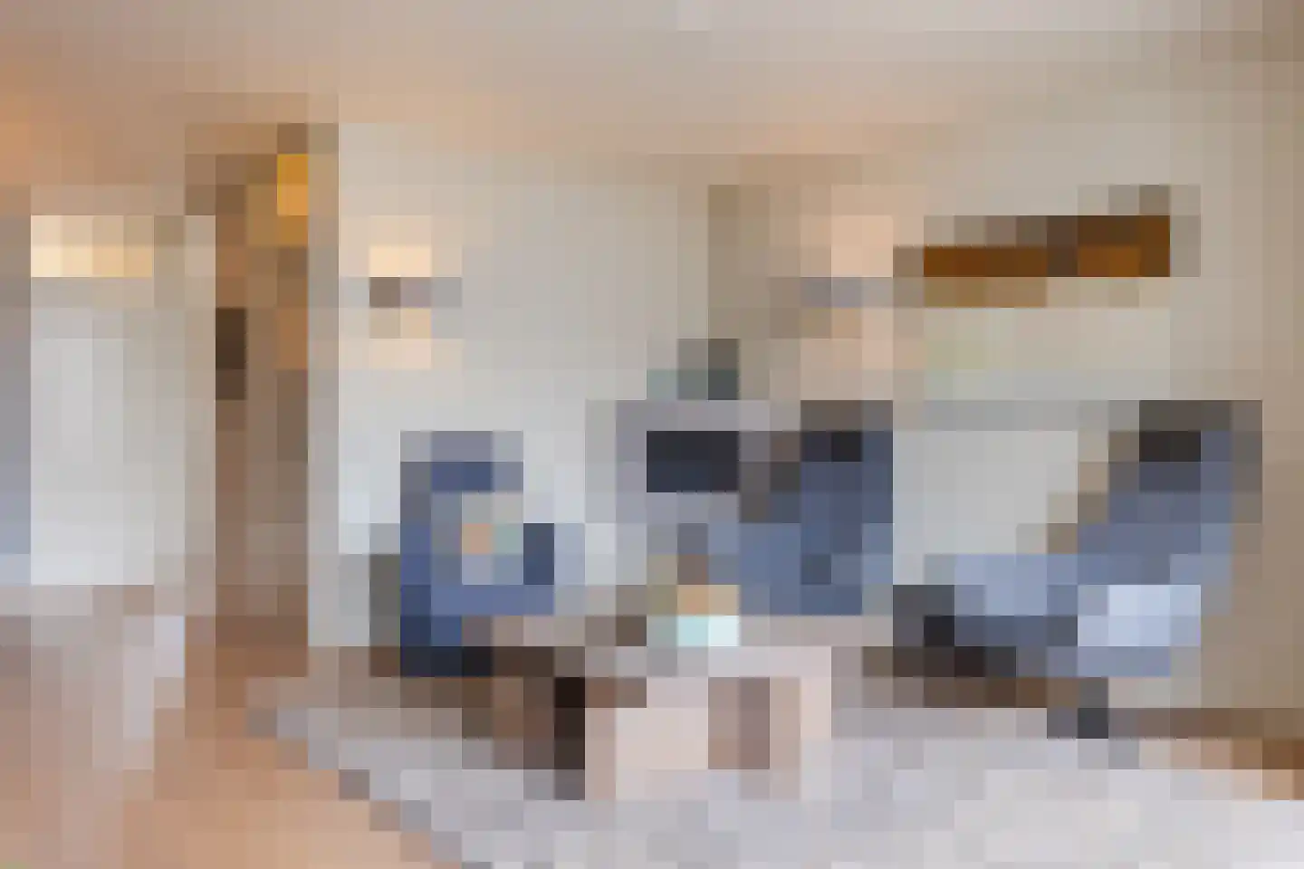 Buurmalsenlaan 34 Tilburg thumbnail 8