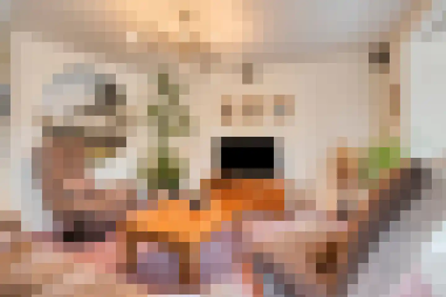 Buurmalsenlaan 37 Tilburg thumbnail 13