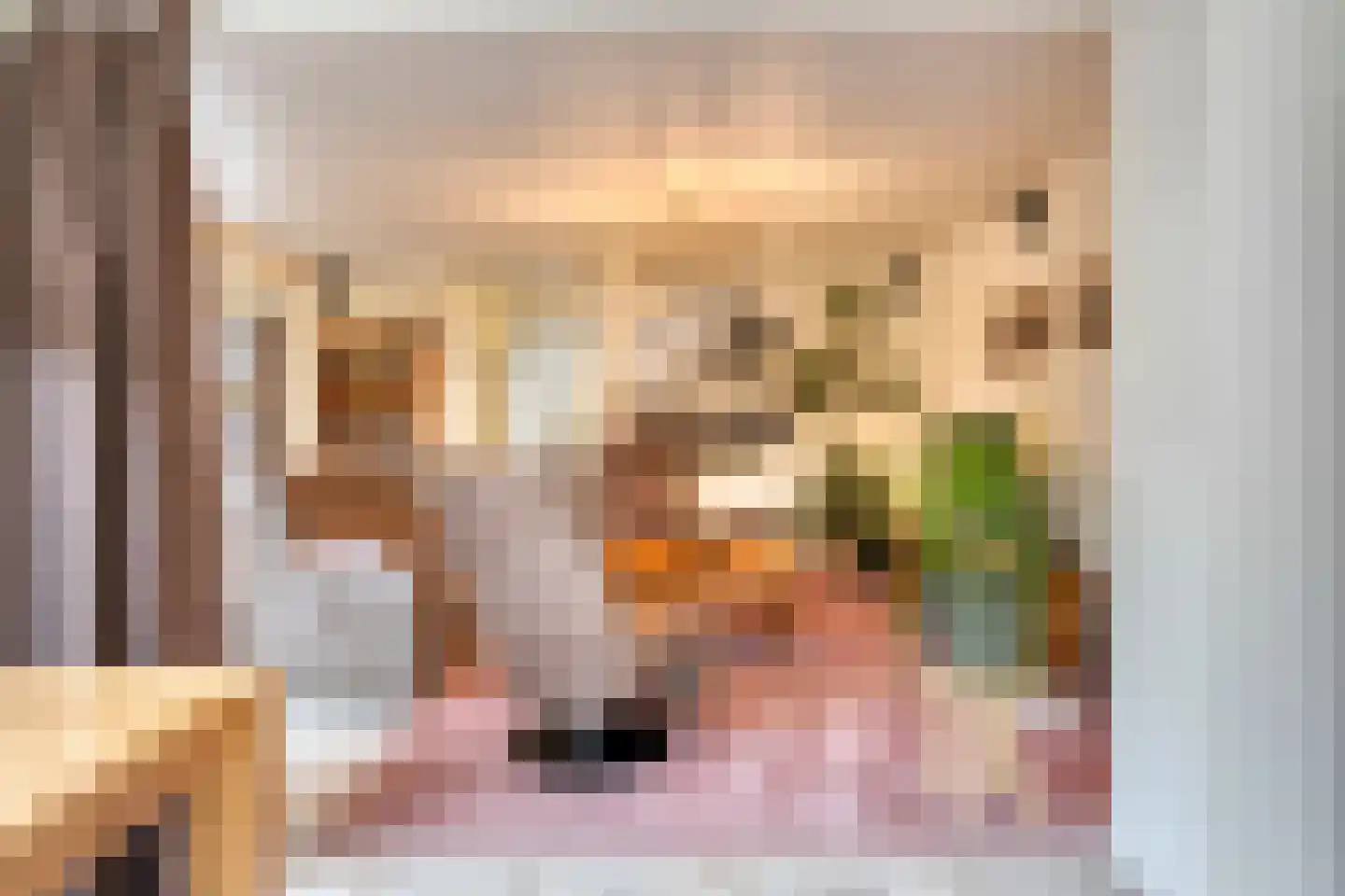 Buurmalsenlaan 37 Tilburg thumbnail 17