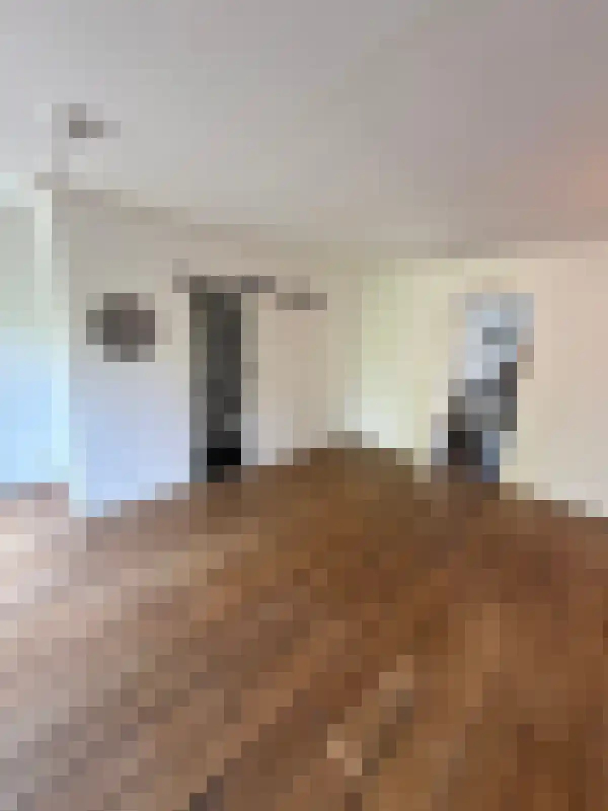 Buurmalsenlaan 39 Tilburg thumbnail 4