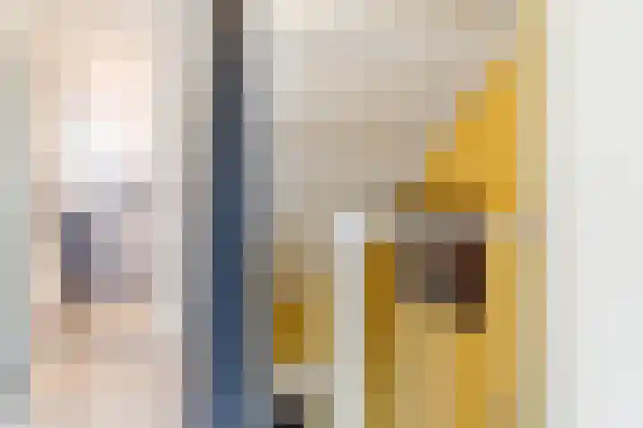 Buurmalsenlaan 47 Tilburg thumbnail 12