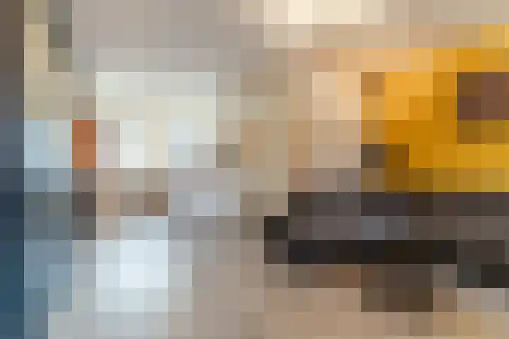 Buurmalsenlaan 47 Tilburg thumbnail 6