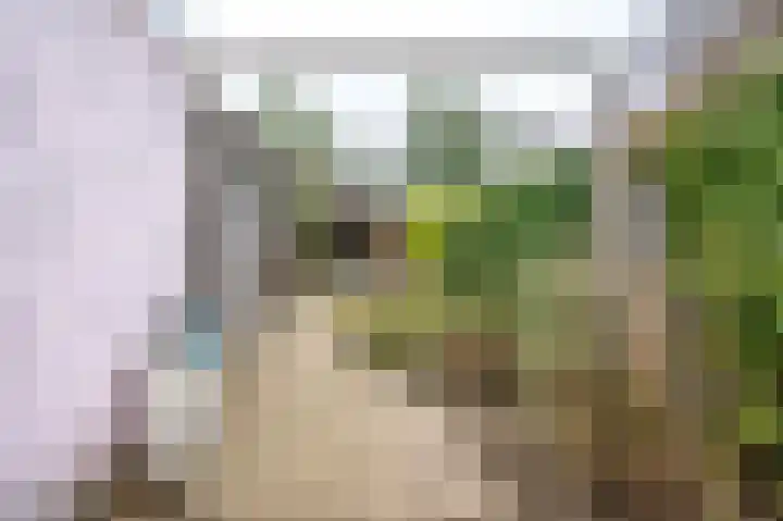 Buurmansweg 30 Nijmegen thumbnail 48