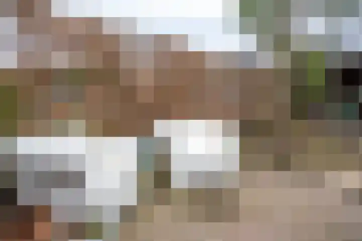 Buurmansweg 30 Nijmegen thumbnail 50