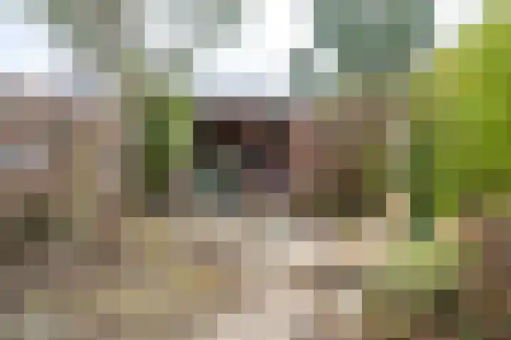 Buurmansweg 30 Nijmegen thumbnail 51