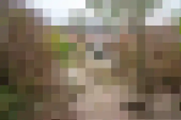 Buurmansweg 30 Nijmegen thumbnail 55