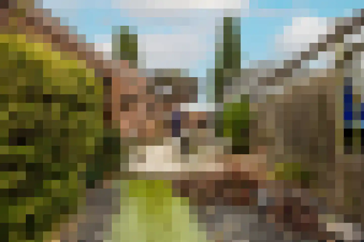 Buurmansweg 40 Nijmegen thumbnail 19