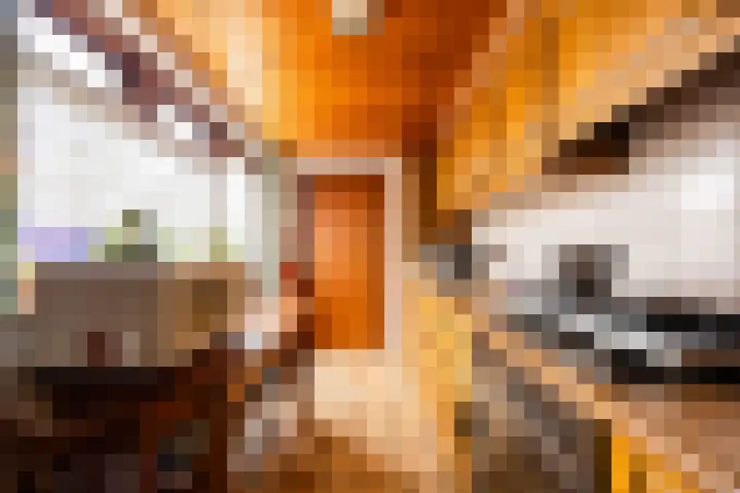 Buurmansweg 40 Nijmegen thumbnail 4
