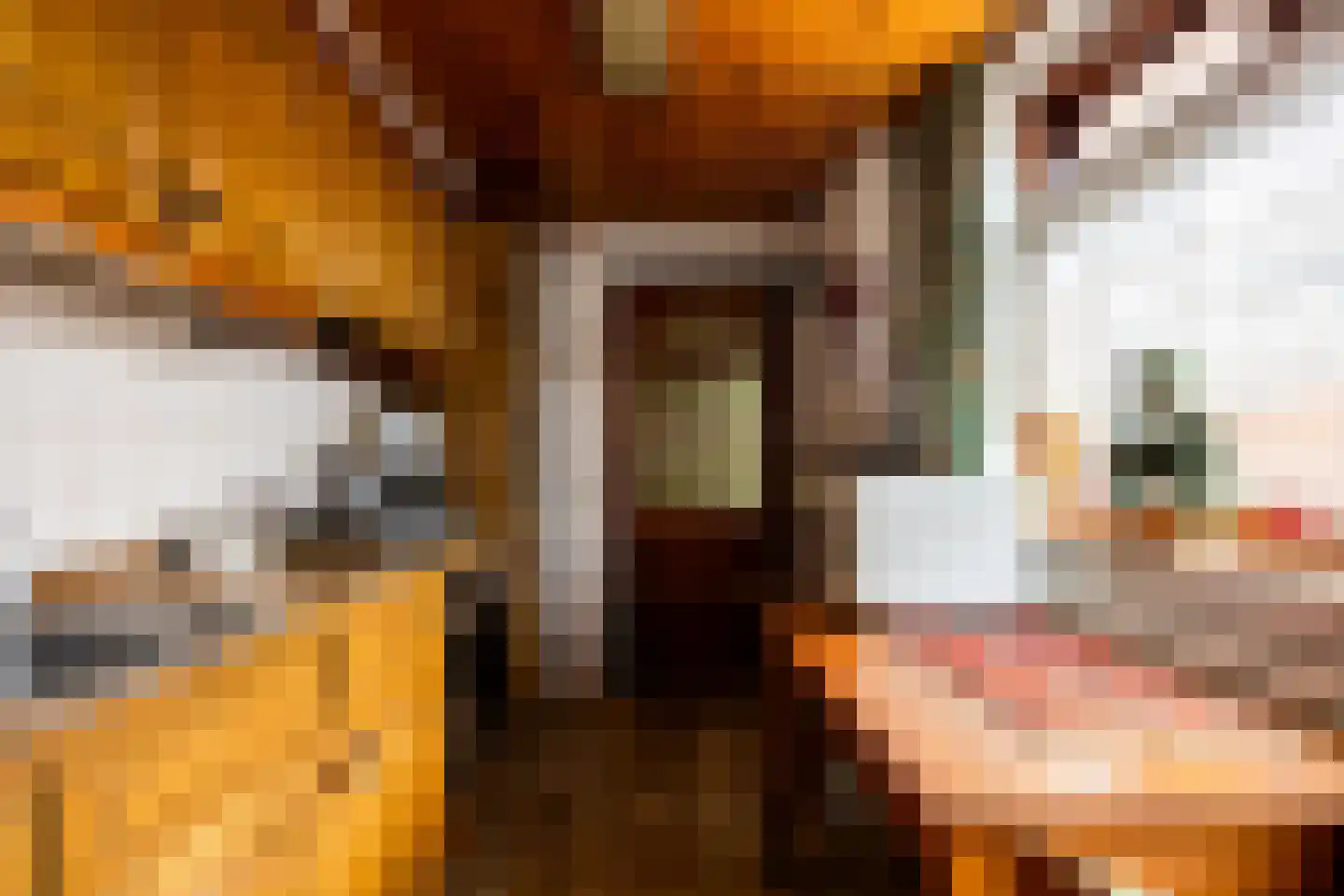 Buurmansweg 40 Nijmegen thumbnail 5
