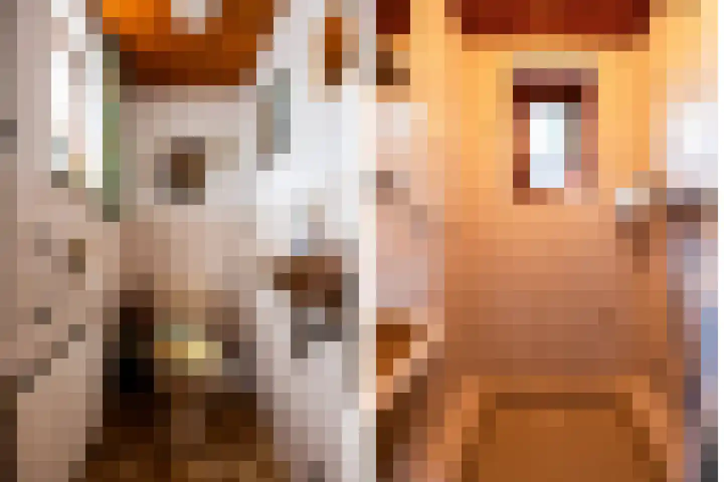 Buurmansweg 40 Nijmegen thumbnail 7