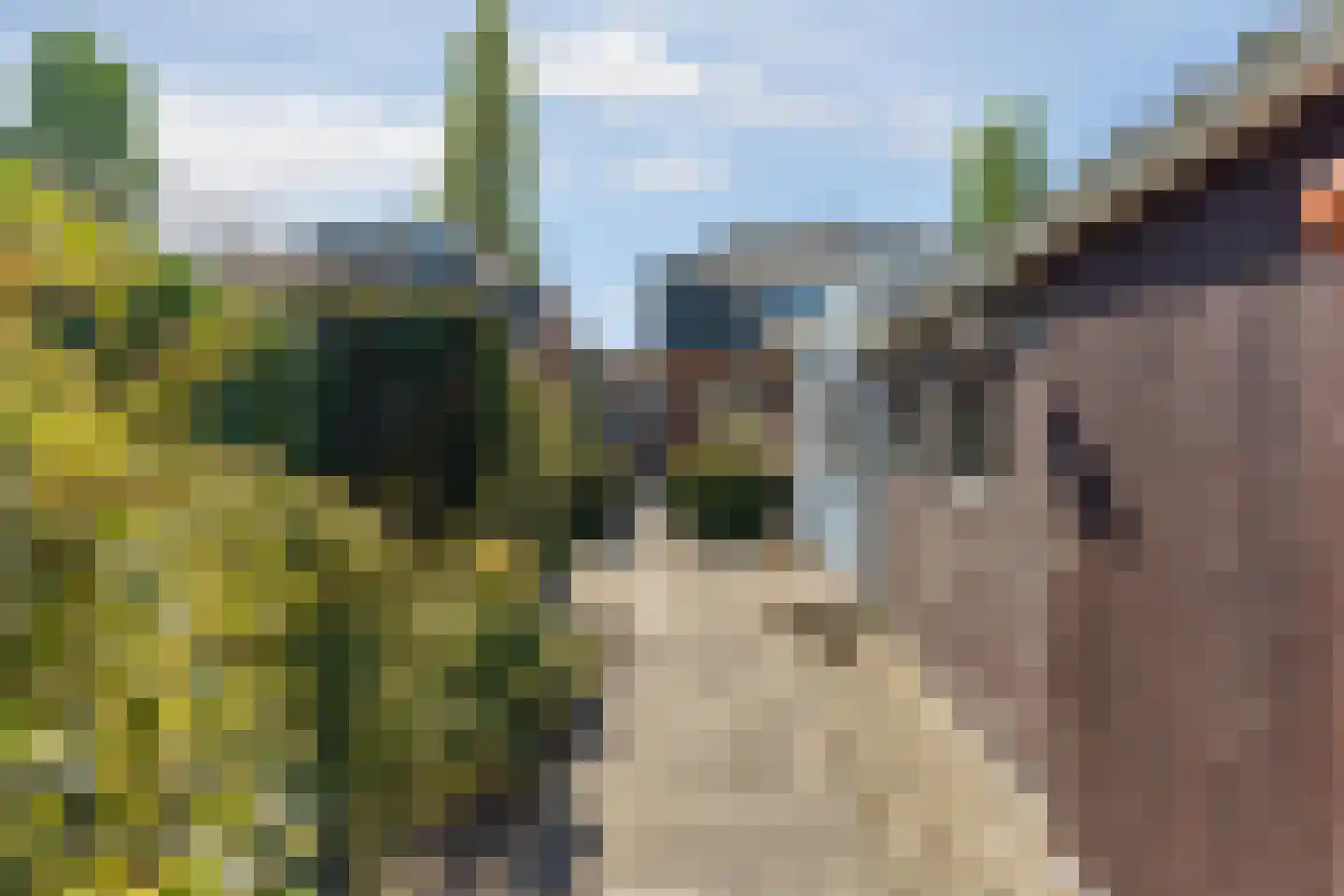 Buurmansweg 46 Nijmegen thumbnail 38
