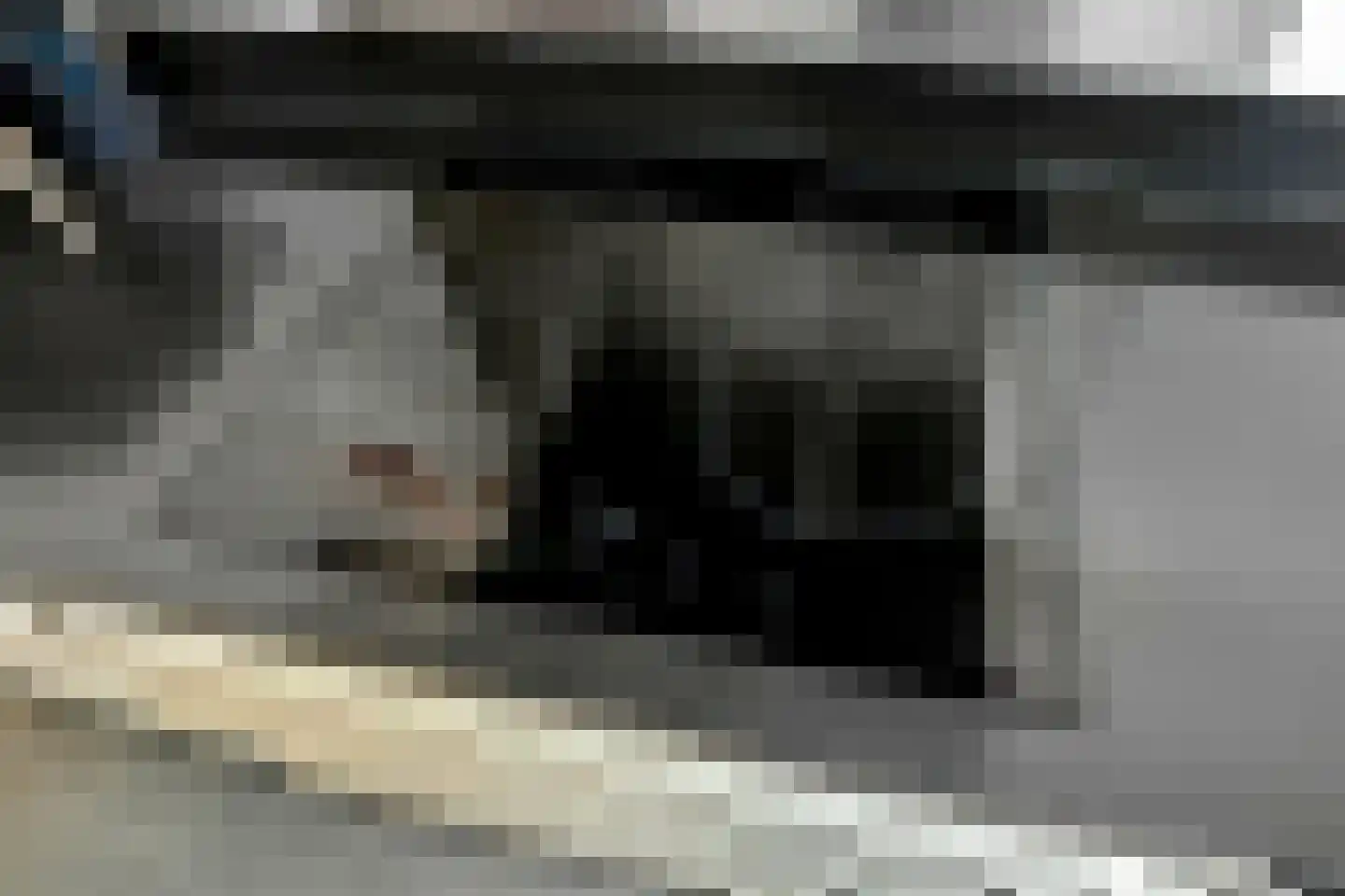 Buurmeester 14 Elst thumbnail 16