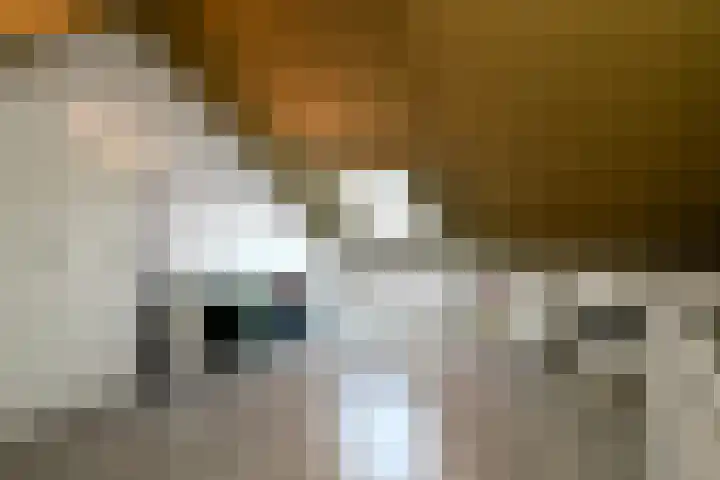 Buurmeester 14 Elst thumbnail 30