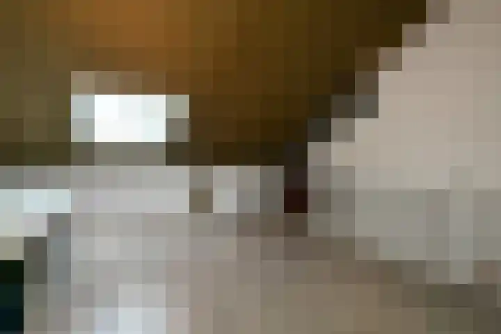 Buurmeester 14 Elst thumbnail 31