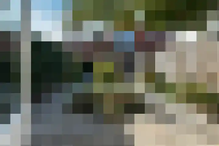 Buurmeester 14 Elst thumbnail 32