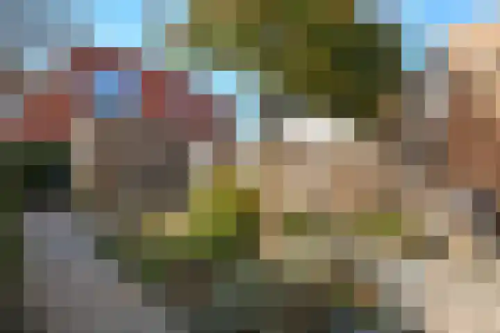 Buurmeester 14 Elst thumbnail 33