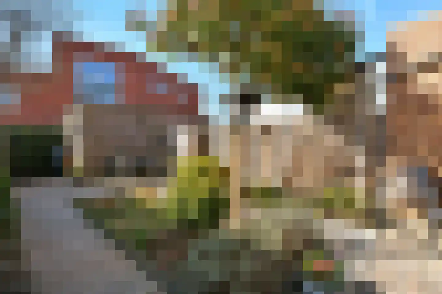 Buurmeester 14 Elst thumbnail 33