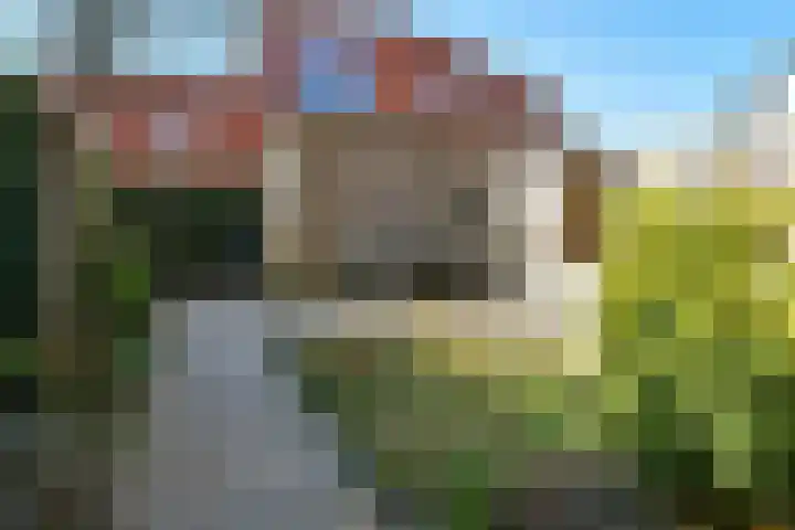 Buurmeester 14 Elst thumbnail 34