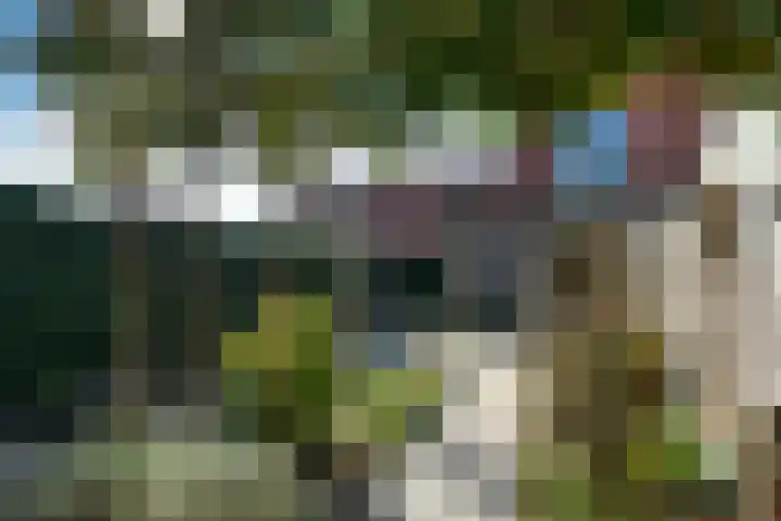Buurmeester 14 Elst thumbnail 36