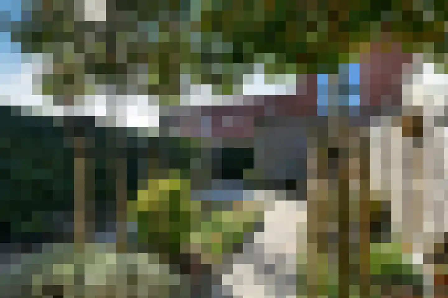 Buurmeester 14 Elst thumbnail 36