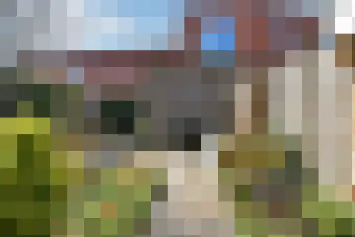 Buurmeester 14 Elst thumbnail 37