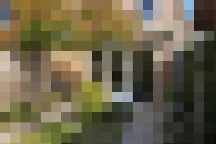 Buurmeester 14 Elst thumbnail 38