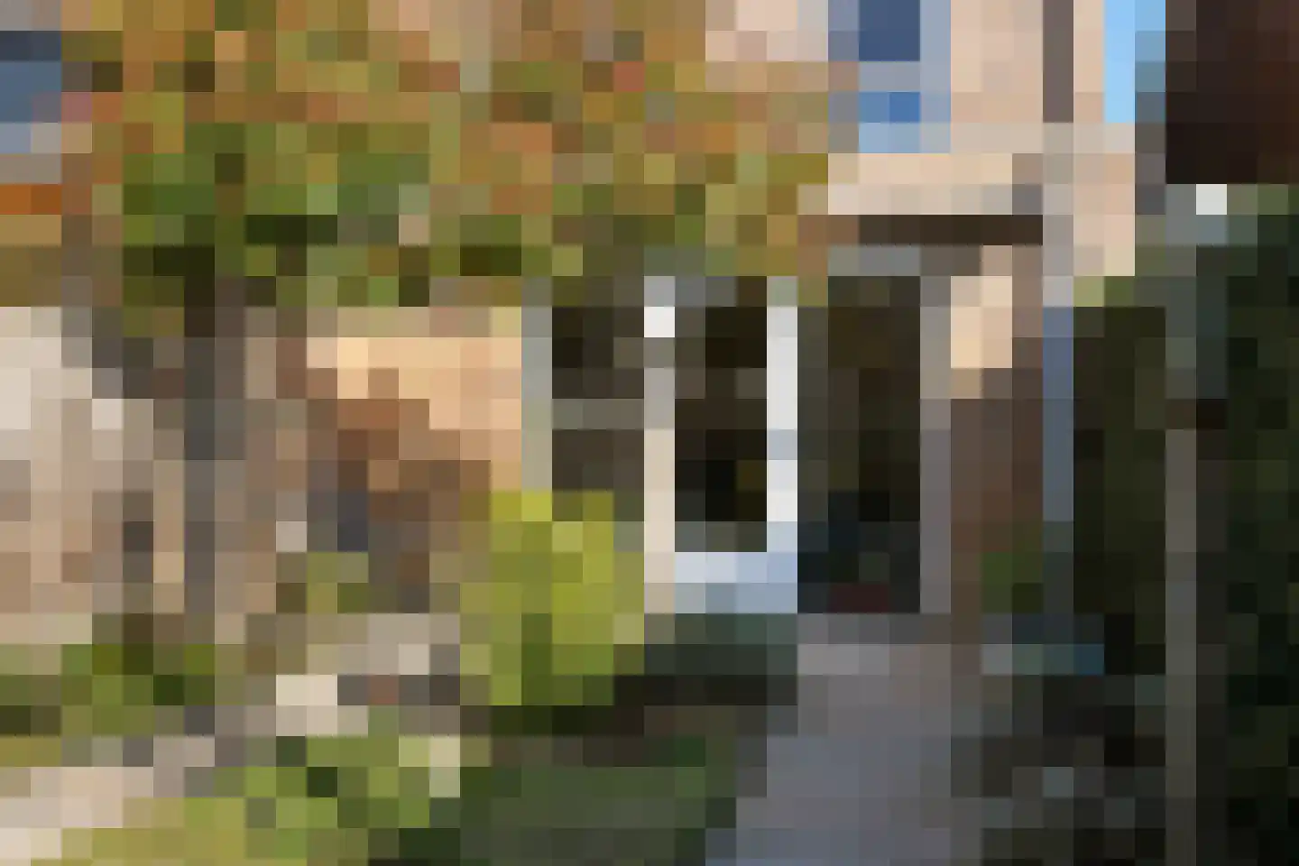 Buurmeester 14 Elst thumbnail 38