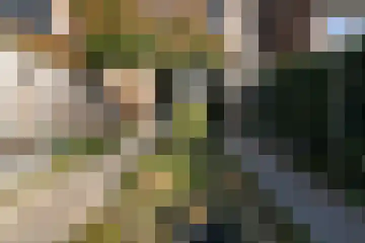 Buurmeester 14 Elst thumbnail 39