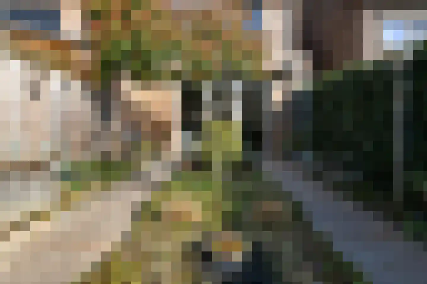Buurmeester 14 Elst thumbnail 39