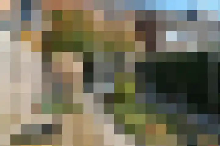 Buurmeester 14 Elst thumbnail 40