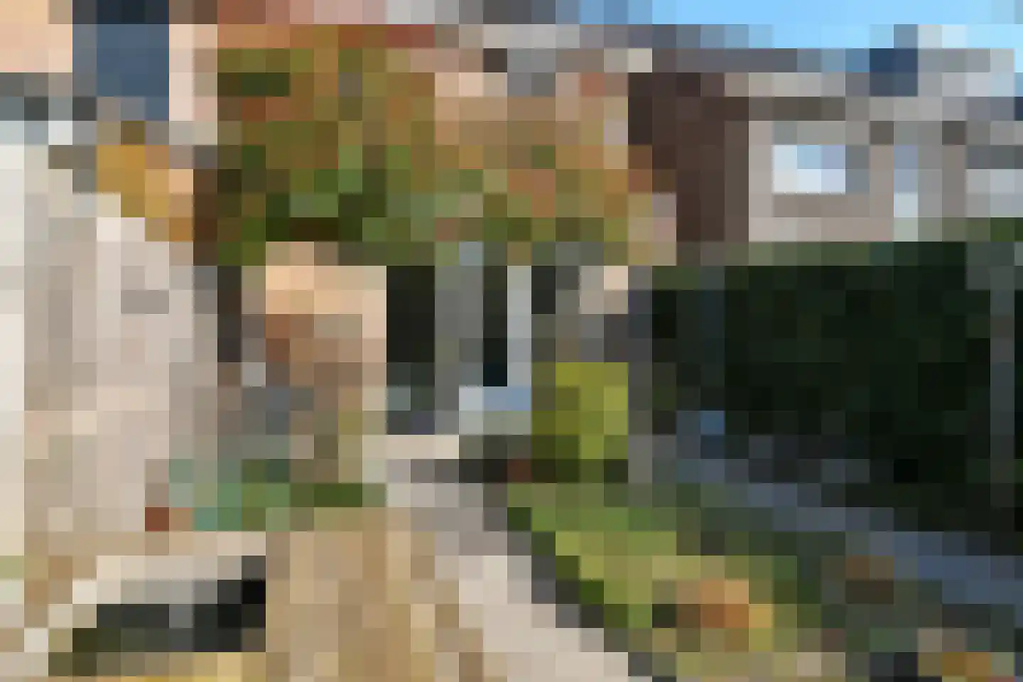 Buurmeester 14 Elst thumbnail 40