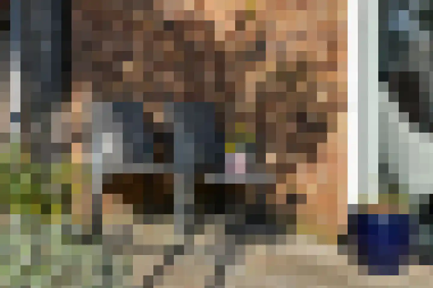 Buurmeester 14 Elst thumbnail 41