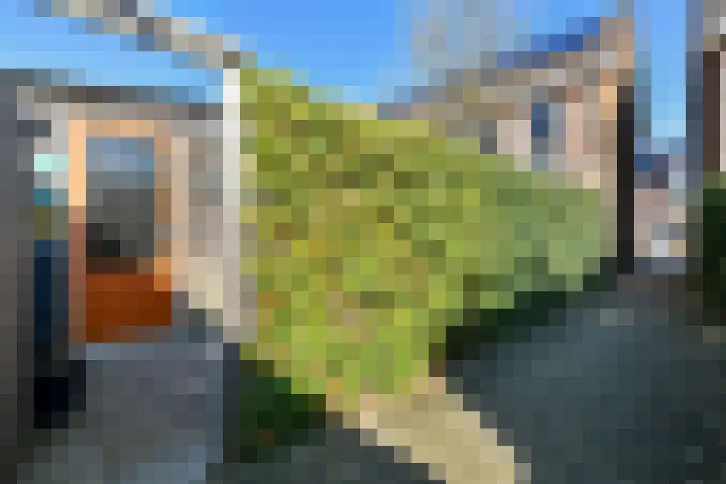 Buurmeester 14 Elst thumbnail 42